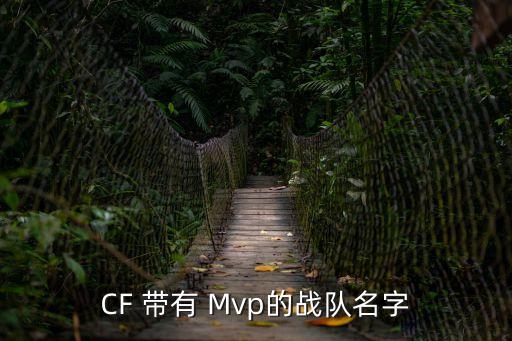 CF 帶有 Mvp的戰(zhàn)隊名字
