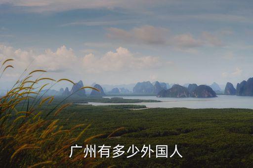 廣州外國人入籍人數是，廣州有多少外來人口