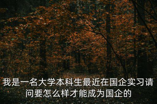 我是一名大學(xué)本科生最近在國企實習(xí)請問要怎么樣才能成為國企的