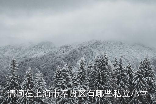 請問在上海市奉賢區有哪些私立小學