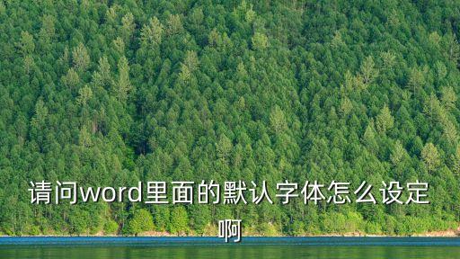 請問word里面的默認字體怎么設定啊