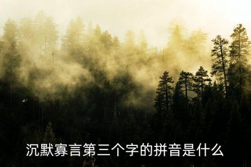 沉默寡言第三個字的拼音是什么