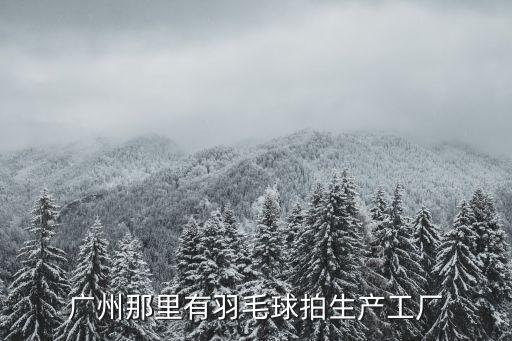 廣州羽毛球拍生產廠家，廣州榮事達廠家地址