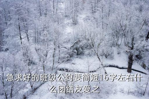 急求好的班級(jí)公約要簡(jiǎn)短16字左右什么團(tuán)結(jié)友愛(ài)之