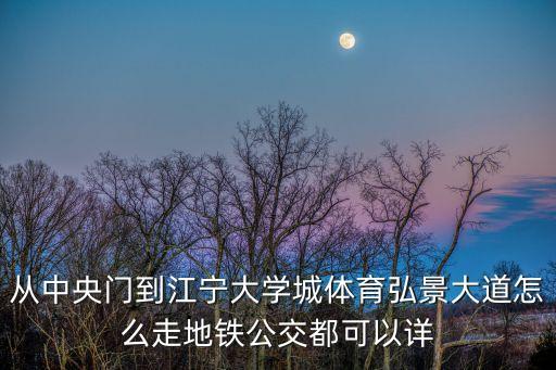 從中央門到江寧大學城體育弘景大道怎么走地鐵公交都可以詳