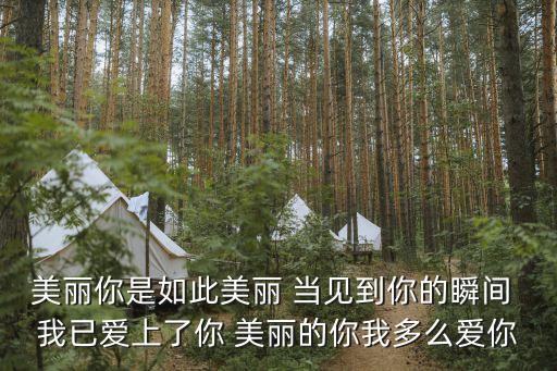 我親愛的姑娘，我親愛的姑娘你在何方自從你走了是什么歌
