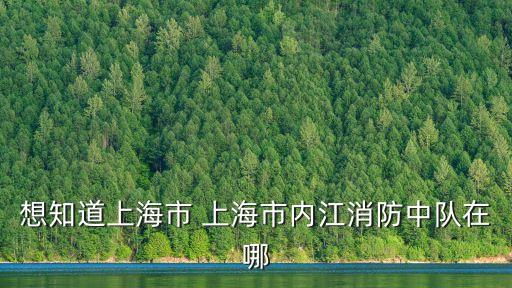想知道上海市 上海市內江消防中隊在哪