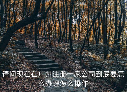 廣州營業執照辦理公司，請問現在在廣州注冊一家公司到底要怎么辦理怎么操作