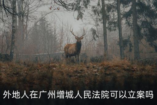 廣州哪家法院可以跨地域立案，法院 跨區(qū)訴訟