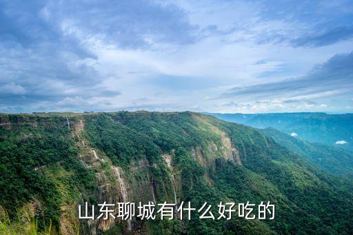 聊城美食，聊城有什么好吃的啊