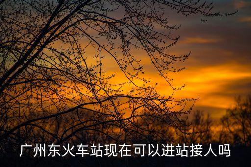 廣州東站可以進站去接人嗎，廣州東火車站現在可以進站接人嗎