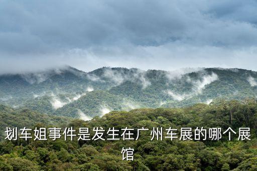 廣州車(chē)展epro品鑒會(huì)，2010廣州車(chē)展