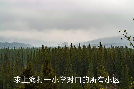 上海市鞍山八村，上海鞍山八村位于哪個區