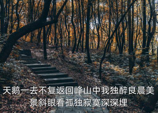 天鵝一去不復(fù)返回峰山中我獨(dú)醉良晨美景斜眼看孤獨(dú)寂寞深深埋