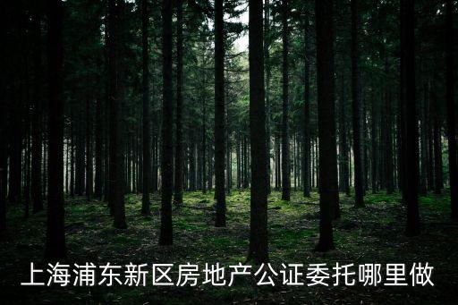 上海市房地產(chǎn)委托公證，上海浦東新區(qū)房地產(chǎn)公證委托哪里做
