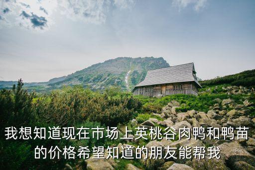 我想知道現在市場上英桃谷肉鴨和鴨苗的價格希望知道的朋友能幫我