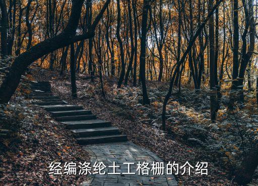 經(jīng)編滌綸土工格柵的介紹