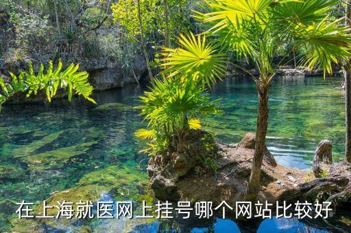 上海市預約掛號統一平臺網站，上海醫院網上掛號