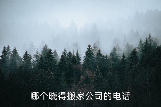 哪個(gè)曉得搬家公司的電話