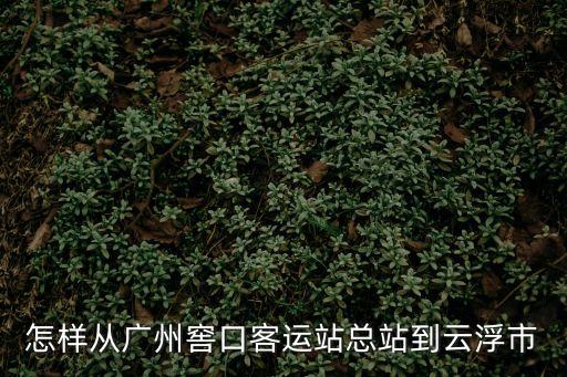 廣州窖口到云浮怎么坐車，怎樣從廣州窖口客運(yùn)站總站到云浮市