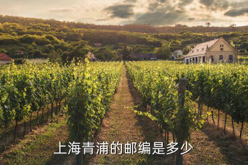 上海市執(zhí)法代碼310118，上海青浦的郵編是多少
