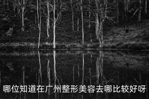 哪位知道在廣州整形美容去哪比較好呀