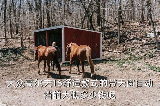 廣州大眾高爾夫價格圖片大全，大眾高爾夫16舒適款式的帶天窗自動擋的大慨多少錢呢
