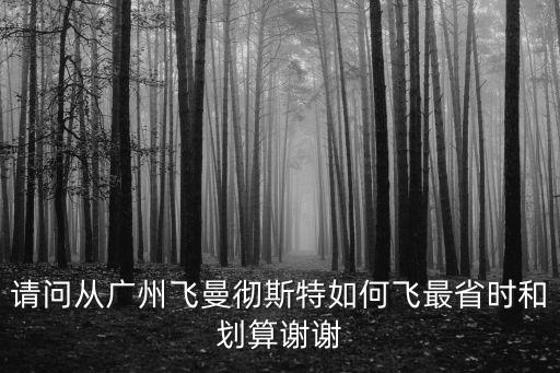 請問從廣州飛曼徹斯特如何飛最省時和劃算謝謝
