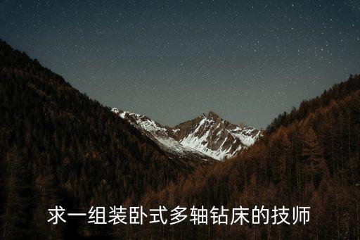 求一組裝臥式多軸鉆床的技師