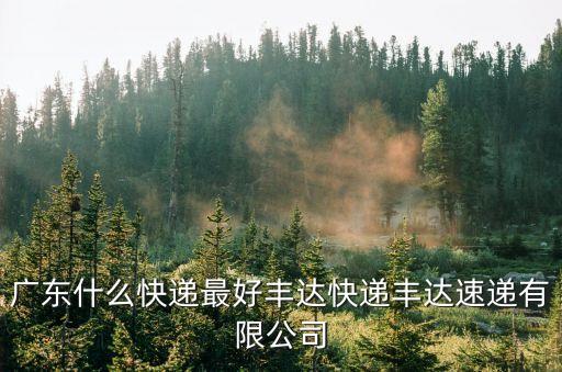 豐達速運廣州，什么快遞最安全最可靠豐達速遞豐達快遞