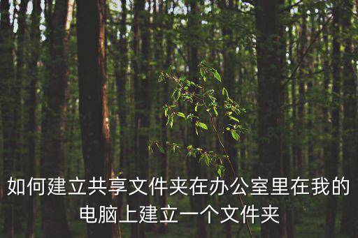 建立共享文件夾，如何建立共享文件夾在辦公室里在我的電腦上建立一個文件夾