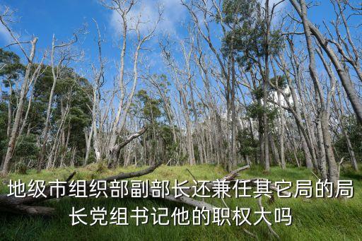 上海市組織部部長及副部長有哪幾位，地級市組織部副部長還兼任其它局的局長黨組書記他的職權大嗎