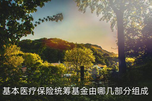 統籌基金是什么，基本醫療保險統籌基金由哪幾部分組成
