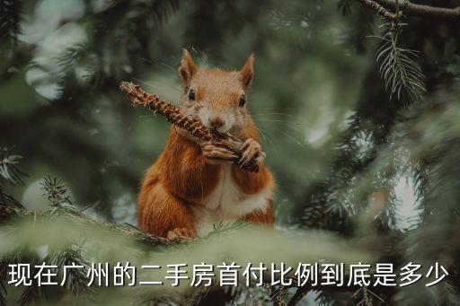 廣州二手駿逸首付，廣州購二手房首付多少