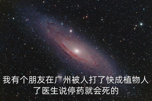 我有個(gè)朋友在廣州被人打了快成植物人了醫(yī)生說(shuō)停藥就會(huì)死的