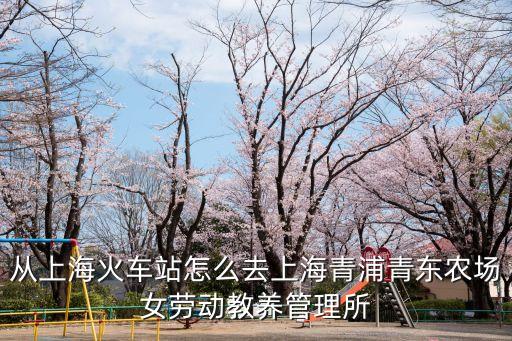 從上海火車站怎么去上海青浦青東農場女勞動教養管理所