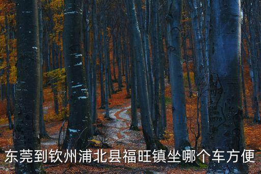 東莞到欽州浦北縣福旺鎮坐哪個車方便