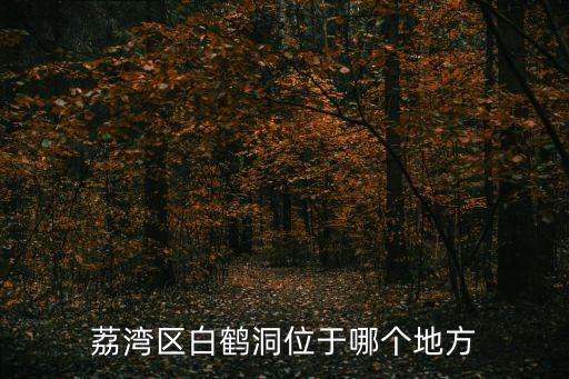 荔灣區白鶴洞位于哪個地方