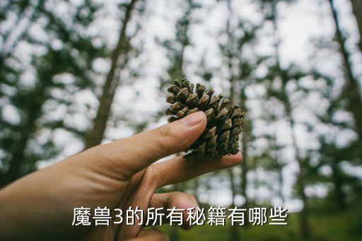 魔獸秘籍3秘籍大全，求魔獸3所有的秘籍