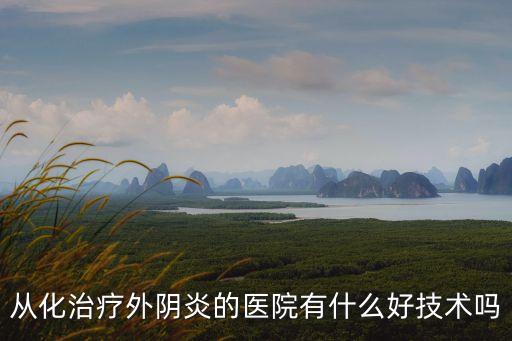 廣州從化葉麗霞，從化治療外陰炎的醫院有什么好技術嗎