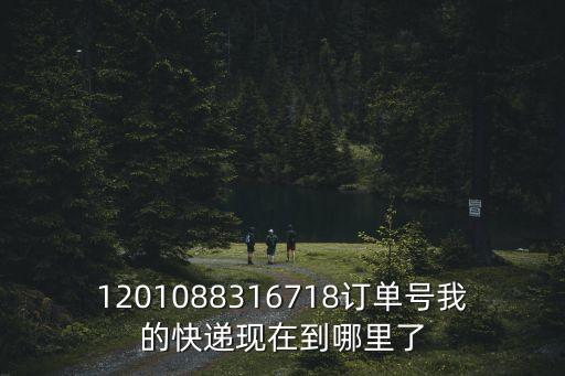 1201088316718訂單號我的快遞現在到哪里了