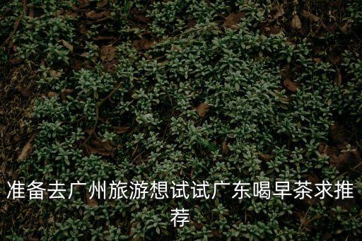 準(zhǔn)備去廣州旅游想試試廣東喝早茶求推薦