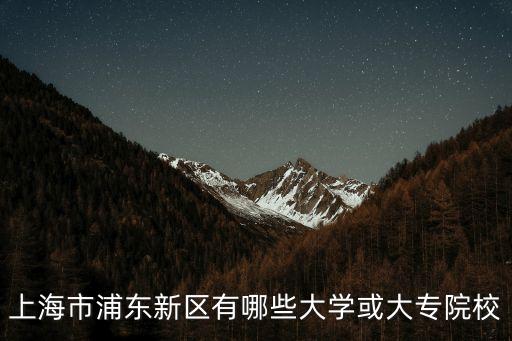 上海市浦東外事服務學校高校，上海市浦東新區有哪些大學或大專院校