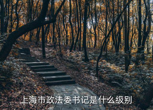上海市政法委書記是什么級別