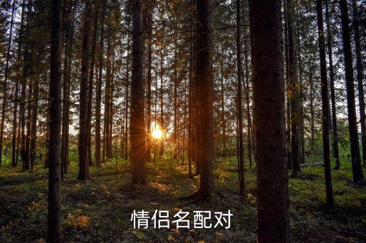 情侶名字配對，找相配的情侶名