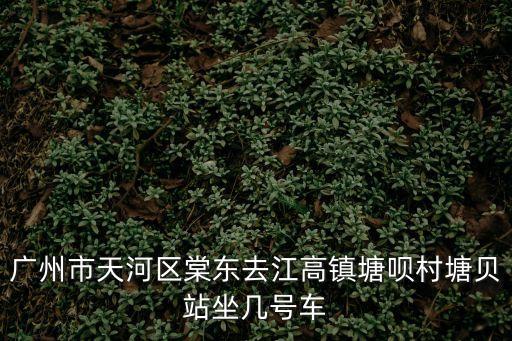 廣州市天河區棠東去江高鎮塘唄村塘貝站坐幾號車