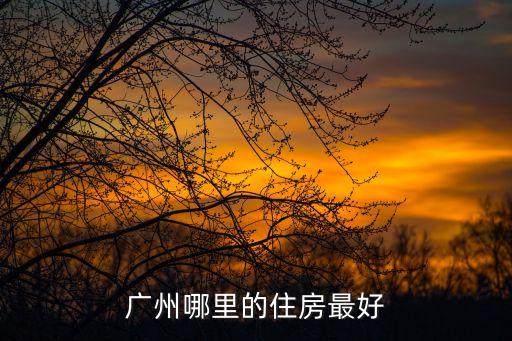 廣州哪里的住房最好