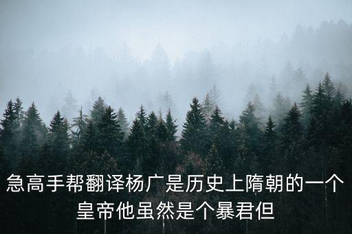 大隋之昏君楊廣，請問楊廣是昏君嗎