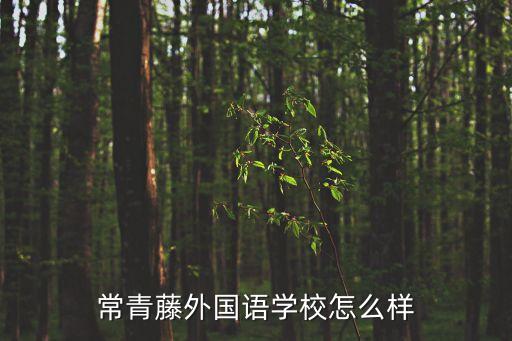 廣州常春藤國際學校怎么樣，考上常青藤院校是一種怎樣的體驗