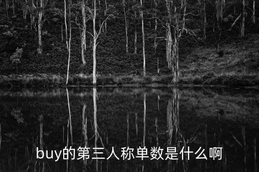 buy的三單，buy第三人稱單數(shù)是什么